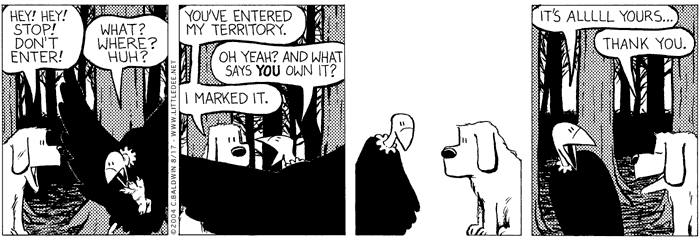 tuesday