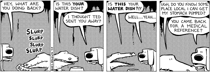 monday