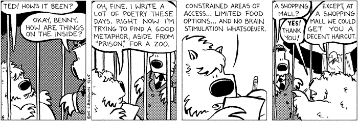 wednesday