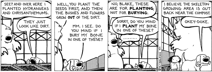 tuesday