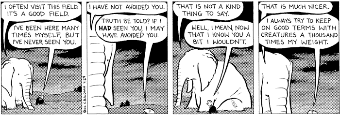 monday
