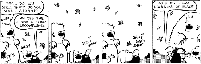 wednesday