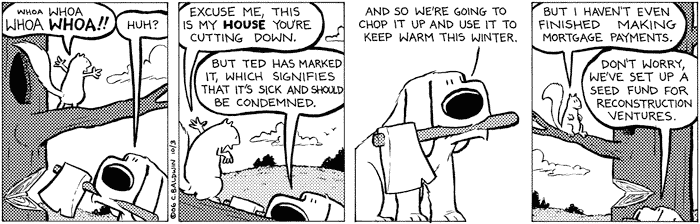 monday