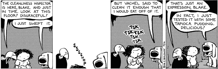 monday