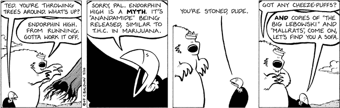 wednesday