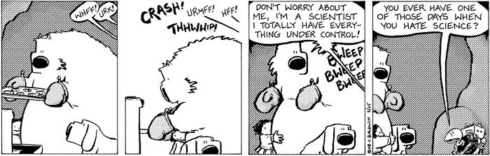 monday