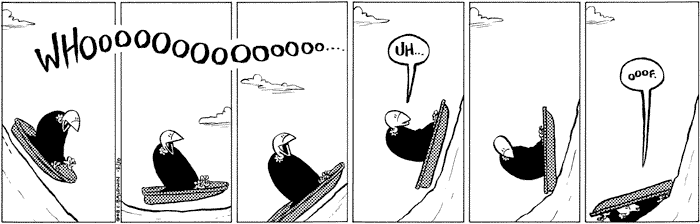 tuesday
