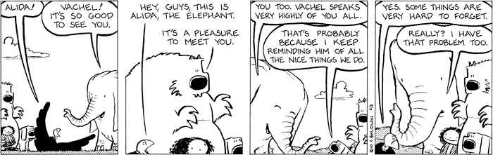 wednesday