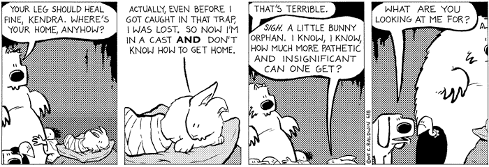 2005-06-08