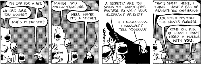 2008-04-28