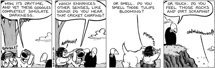 2008-05-06