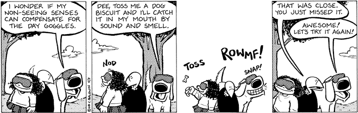 2008-05-07