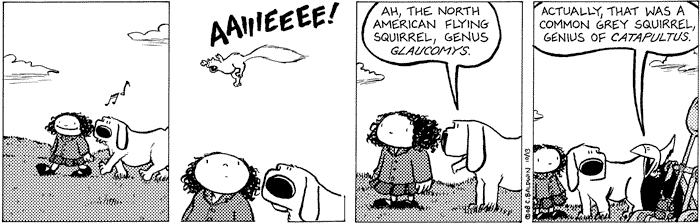 2008-10-13