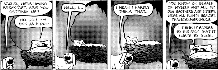 2008-11-17