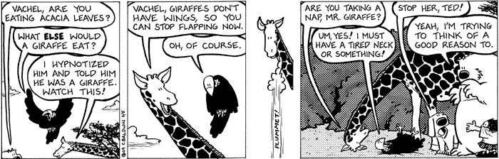 2009-02-05